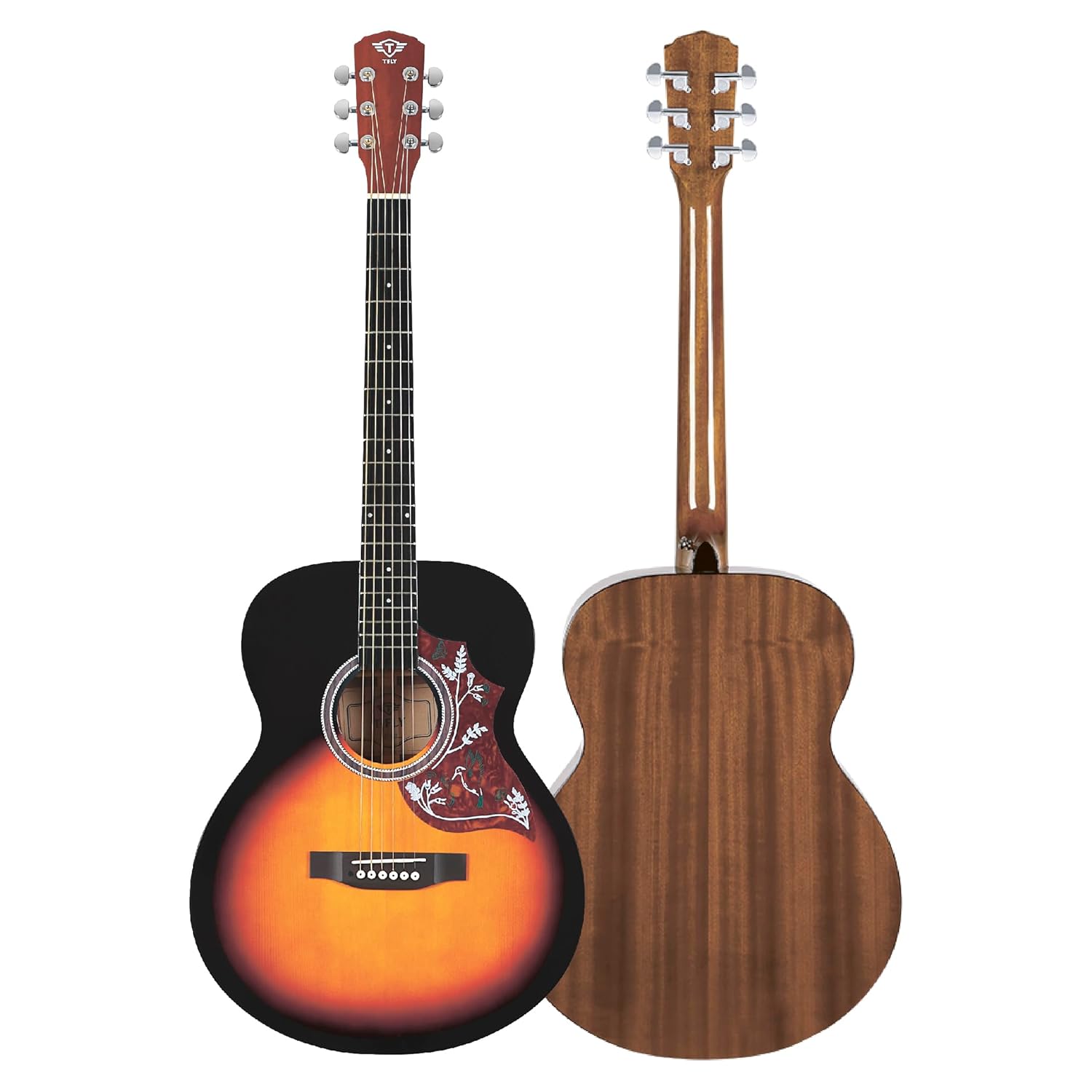 T Fly TF402 Acoustic Rosewood Guitar, 40 Inches Dreadnought