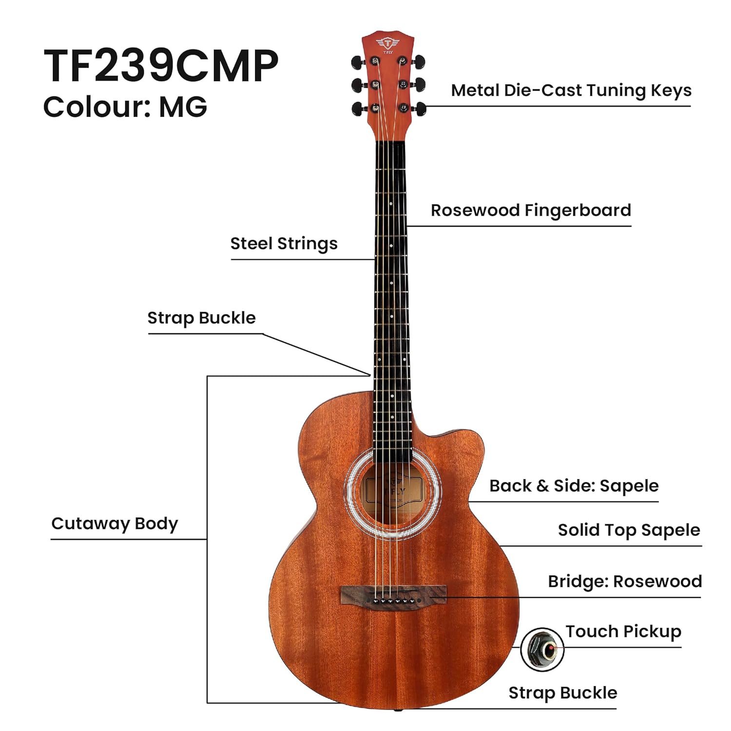 T Fly TF239CMP Semi-Acoustic Guitar, 39 Inches Cutaway, Rosewood - Image 2