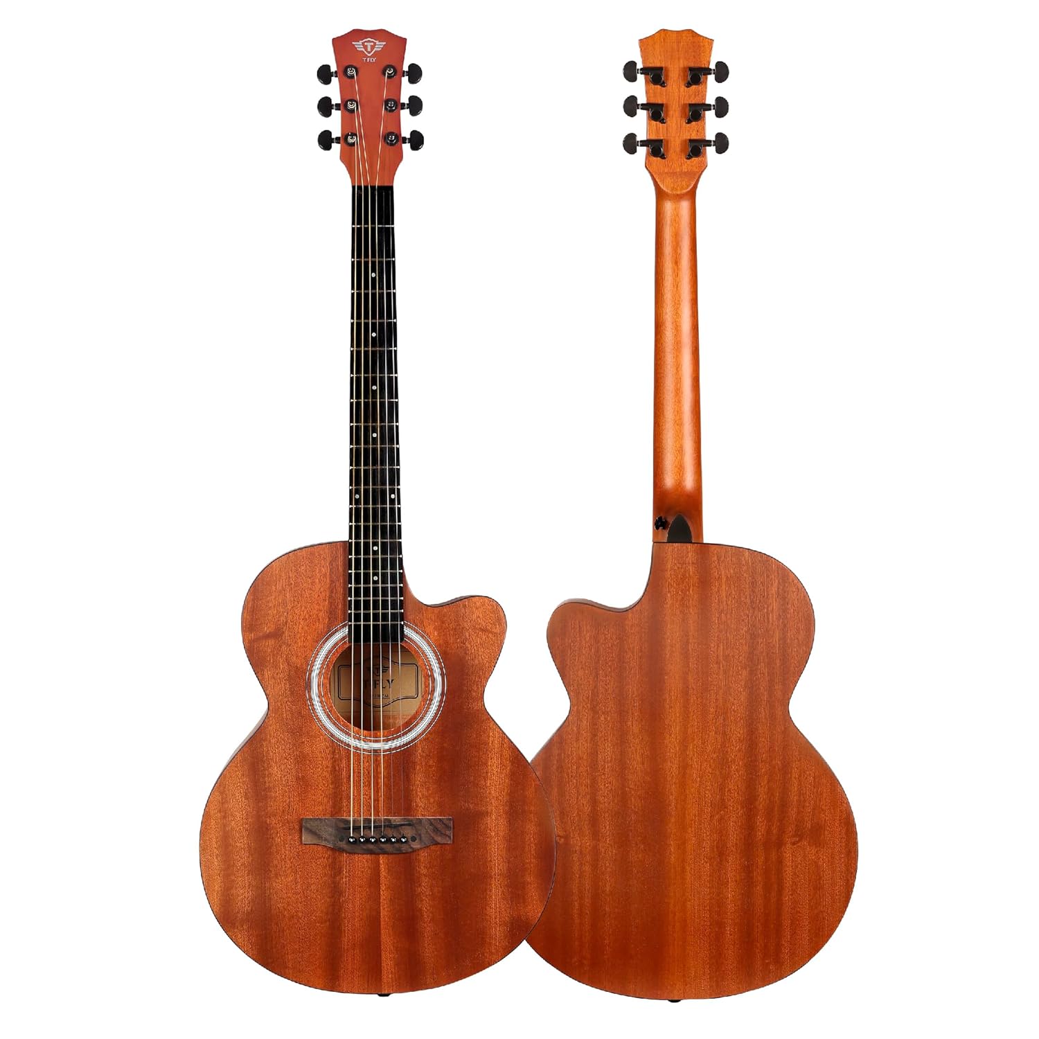 T Fly TF239CMP Semi-Acoustic Guitar, 39 Inches Cutaway, Rosewood